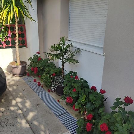 טרביניה Apartments Ratkovic מראה חיצוני תמונה