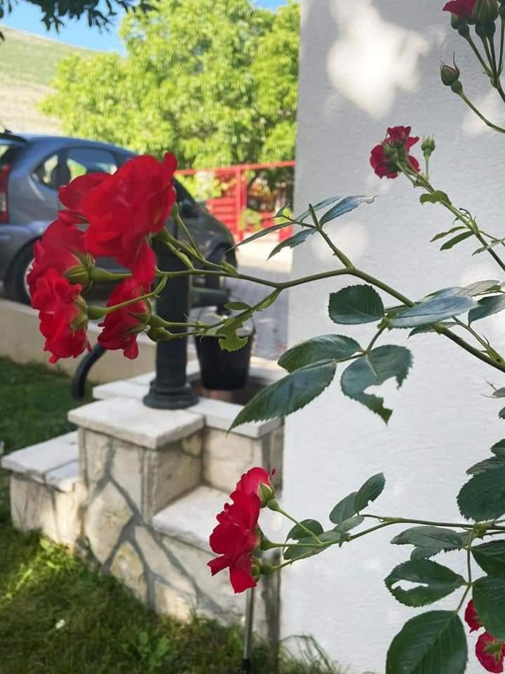 טרביניה Apartments Ratkovic מראה חיצוני תמונה